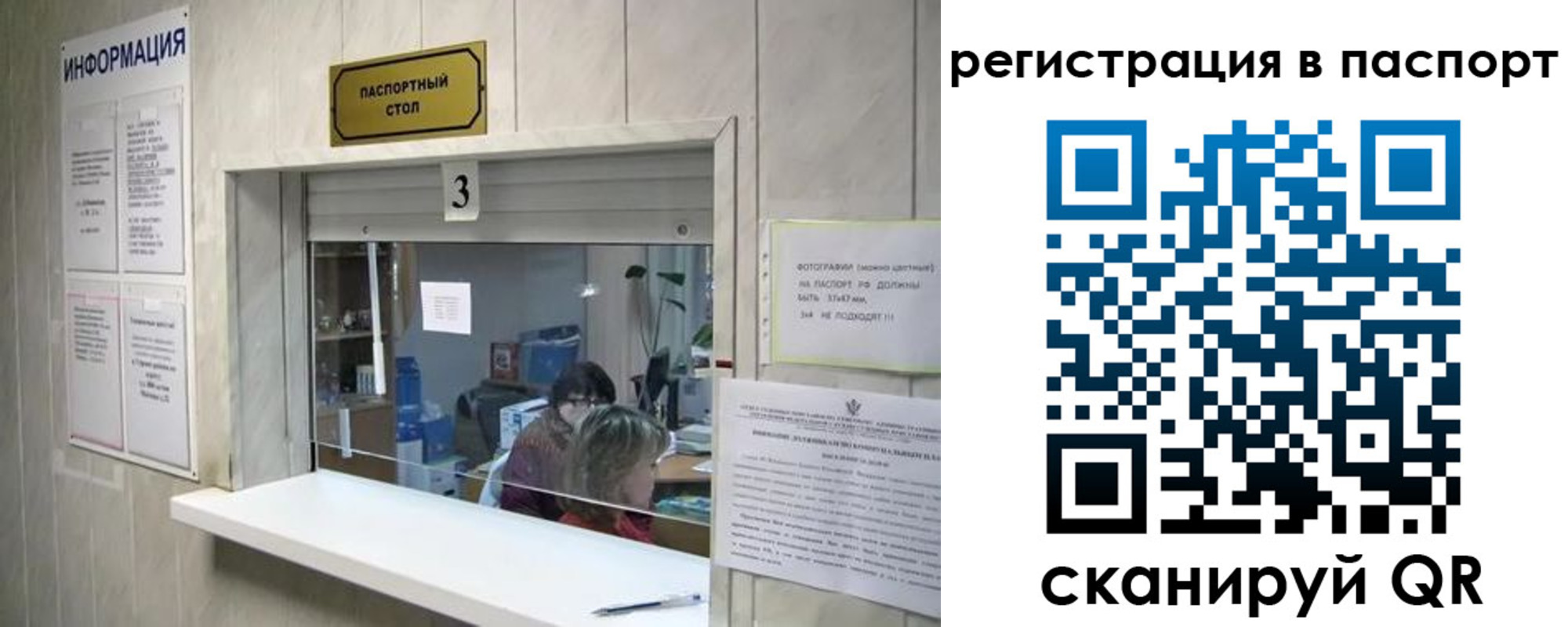 прописка поиск в Порхове
